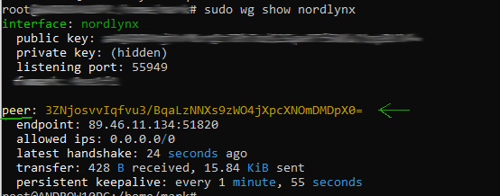 Terminal: wg show Ausgabe mit Public Key und Endpoint (teilweise zensiert)